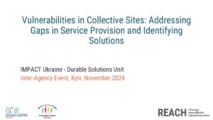 REACH, Ukraine, IDP Collective Site Monitoring, Presentation, November, 2024