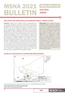REACH_NER_Bulletin_MSNA_Zinder_Janvier2022