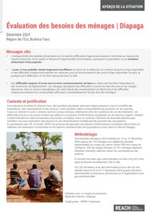 REACH BFA | Évaluations zones difficiles d'accès Diapaga | Aperçu de la situation
