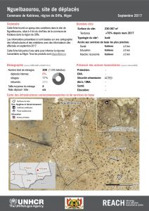 NER_Factsheet_Profil Site de Déplacés de Nguelbaourou_Septembre 2017