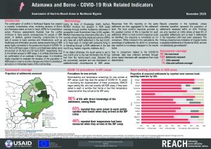 Hard-to-Reach COVID-19 Factsheet, Adamawa & Borno States, Nigeria-November 2020