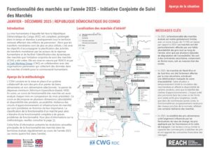 REACH - RDC - ICSM - Évolution de la fonctionnalité des marchés en 2025