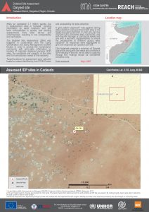 SOM_Factsheet_DSA Site Level_Cadaado District_July 2018