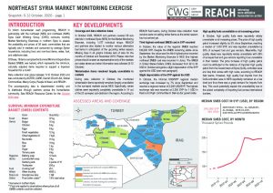 Northeast Syria Market Monitoring Situation Overview, October 2020