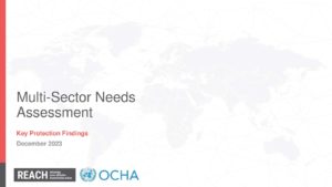 IMPACT Lebanon - Multisector Needs Assessment (MSNA) 2023  - February 2024 - Protection Presentation