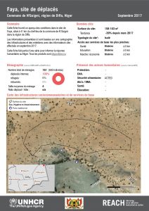 NER_Factsheet_Profil Site de Déplacés de Faya_Septembre 2017