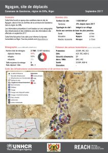 NER_Factsheet_Profil Site de Déplacés de Ngagam_Septembre 2017