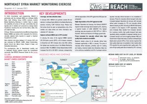 Northeast Syria Market Monitoring Situation Overview - January 2021