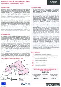 REACH BFA Initiative Conjointe de Suivi des Marchés Factsheet Novembre 2022