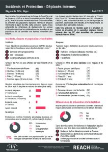 NER_Factsheet_Evaluation Protection, Protection et Incidents, Déplacés Internes_Avril 2017