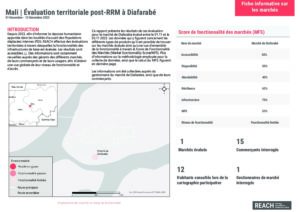 REACH Mali I ABA post-RRM I Diafarabé I Factsheet sur le marché