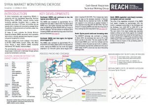 SYR_Situation Overview_Market Monitoring Exercise_NW_March 2019