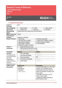 REACH_SYR_Terms of Reference_Cash Feasibility Analysis_May 2021