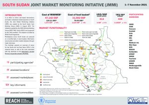 Joint Market Monitoring Initiative (JMMI) Factsheet November 2021