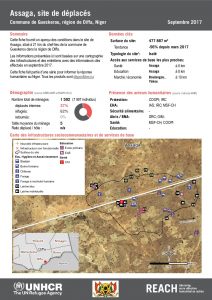 NER_Factsheet_Profil Site de Déplacés de Assaga_Septembre 2017