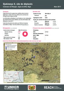 NER_HCR_Factsheet_Profil Site de Déplacés_Commune de N'Guigmi_Djakimeya II_Mars 2017
