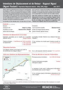 NER_Factsheet_Evaluation Protection, Intentions de Déplacement et de Retour, Kagouri Ngoui (Ngoni Foulani), Déplacés Internes_Avril 2017