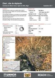 NER_Factsheet_Profil Site de Déplacés de Cheri_Septembre 2017
