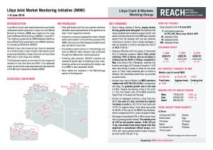 LYB_Situation Overview_Joint Martket Monitoring Initiative (JMMI)_June 2018
