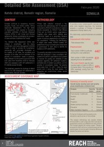 Detailed Site Assessment, Kahda - February 2020