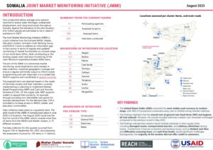 REACH_SOM_Factsheet_JMMI_2023_ August_Q3