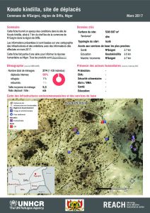 NER_HCR_Factsheet_Profil Site de Déplacés_Commune de N'Guigmi_Koudo Kindilla_Mars 2017