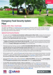REACH South Sudan - Food Security Update in Pibor - November 2024