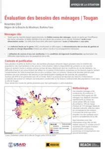 REACH BFA | Évaluations zones difficiles d'accès Tougan | Aperçu de la situation