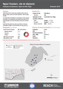 NER_Factsheet_Displacement Site Ngoui Foulatari_Novembre2016
