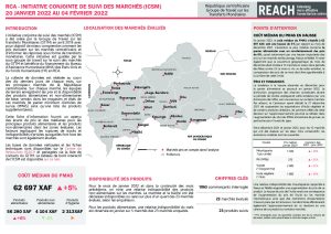 REACH RCA Fiche informative Suivi des marchés Janvier 2022