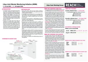 REACH LBY Situation overview JMMI July & August 2022