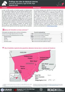 Profilage des sites de déplacés internes dans la commune de Gueskerou, région de Diffa, Niger - Septembre 2020