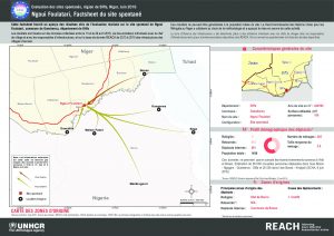 NER_Factsheet_Displacement Site Ngouifoulatari_Juin2016