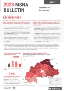 REACH_BFA_2023_Evaluation multisectorielle des besoins (MSNA)_Bulletin_EN