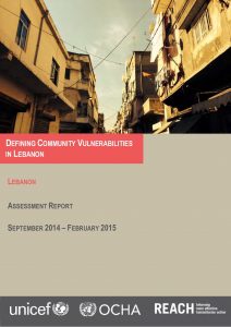 LBN_Report_Defining Community Vulnerabilities_Feb 2015