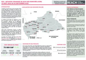REACH_RCA_Base_de_données_Suivi_des_marchés_Août_2022
