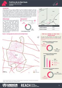 REACH_NER_facsheet_cartographie Djori Koulo