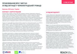 Профілювання ВПО у містах: огляд ситуації у Червоноградській громаді