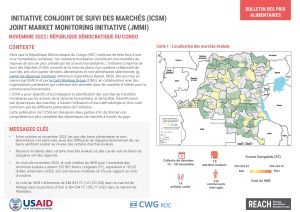 REACH RDC ICSM Factsheet Novembre 2022