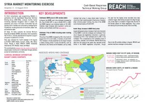 SYR_Situation Overview_Market Monitoring Exercise NWS_August 2019