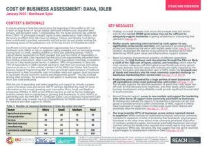 REACH Northwest Syria BSP TF Cost of Business Assessment Dana, January 2023