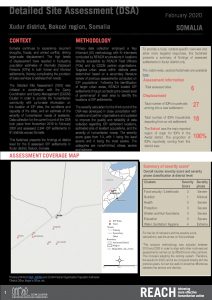 Detailed Site Assessment, Xudur - February 2020