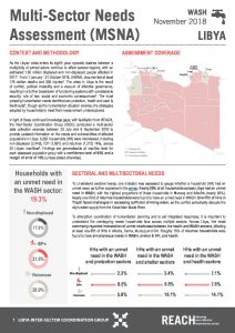 LBY_Factsheet_MSNA_WASH_November 2018