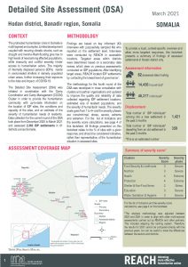 REACH SOM Factsheet DSA Hodan March 2021
