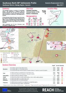 SOM_Factsheet_IDPSettlementProfile_GaalkacyoNorth_May2017