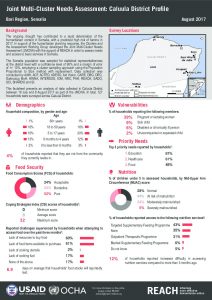 Factsheet_JMCNA_Caluula_DistrictProfile_August2017