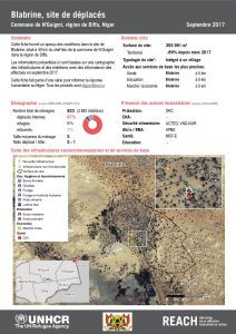 NER_Factsheet_Profil Site de Déplacés de Blabrine_Septembre 2017