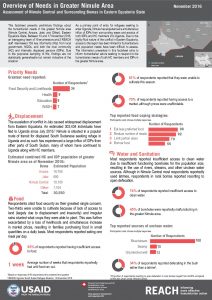 SSD_Factsheet_Nimule Rapid Needs Assessment_November 2016