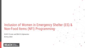 Inclusion of Women in ESNFI Programming Key Findings Presentation