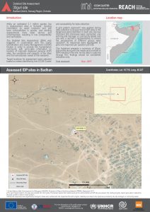 SOM_Factsheet_DSA Site Level_Badhan District_July 2018